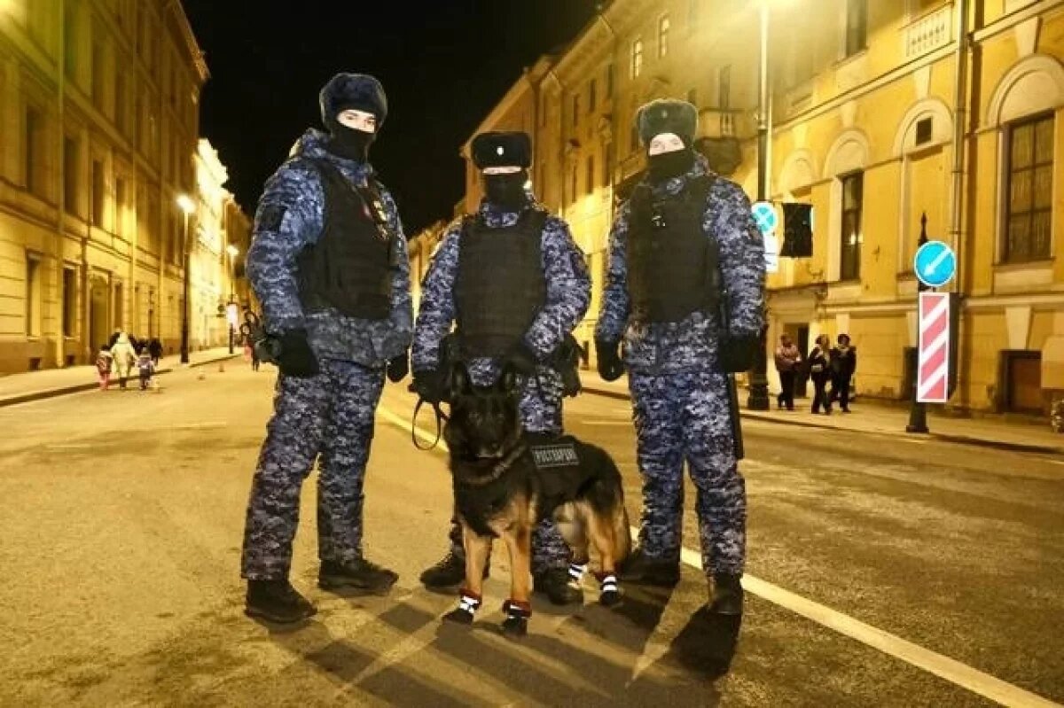    Задержан пьяный мужчина, запустивший салют в толпе прохожих в Петербурге