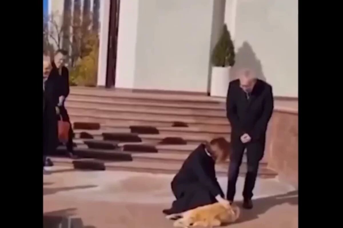    Собака Майи Санду Кодруц сбежала из-за звука взрывающихся фейерверков