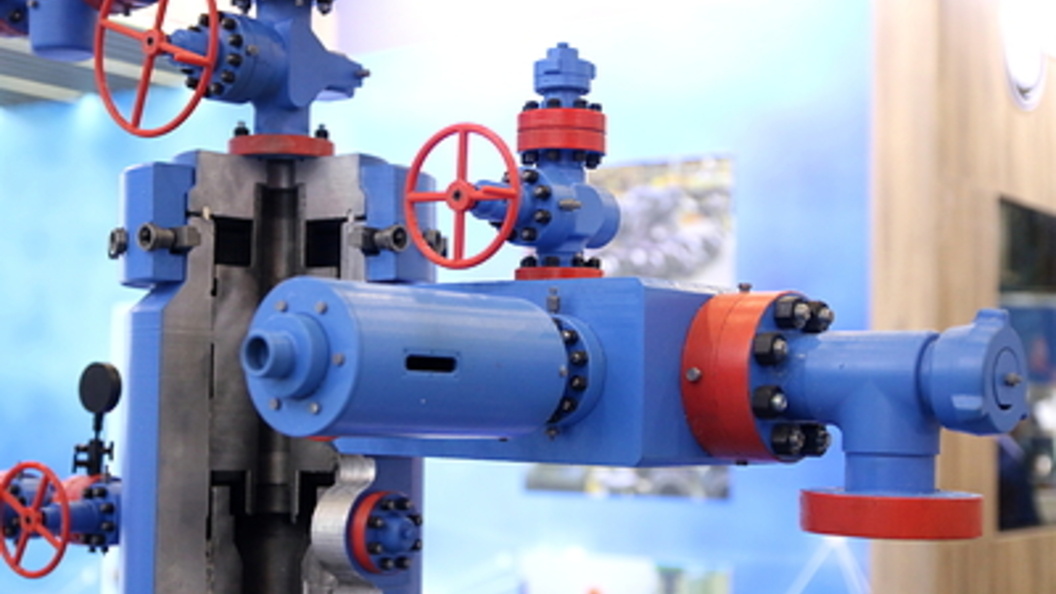    Фото: Maksim Konstantinov/Globallookpress