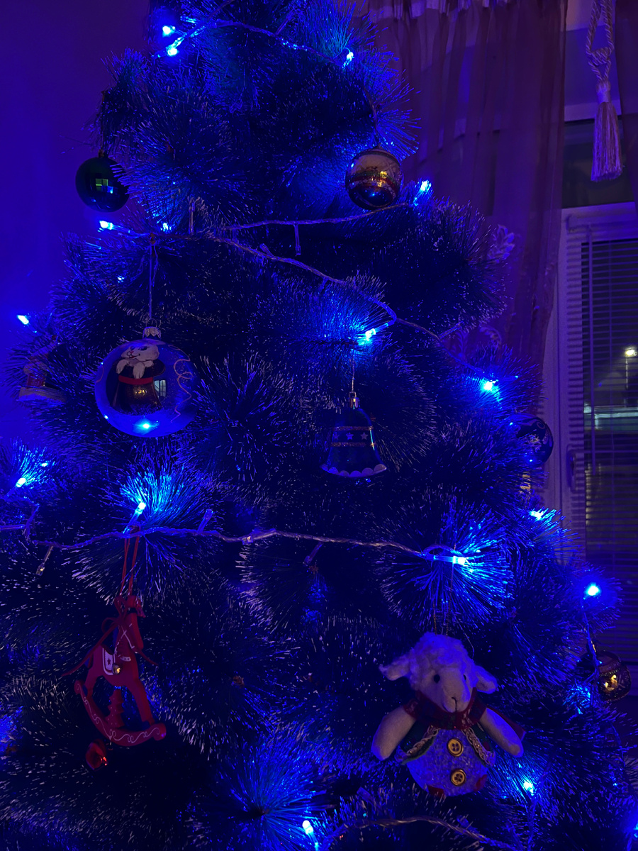 Новый год 🎅 лучшее время для финансового анализа 