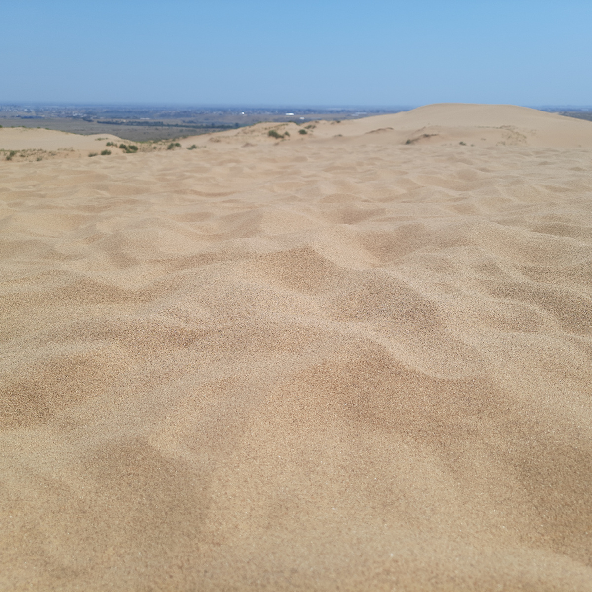 Фото из личного архива