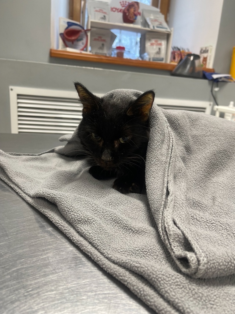 у Дины низкая температура тела