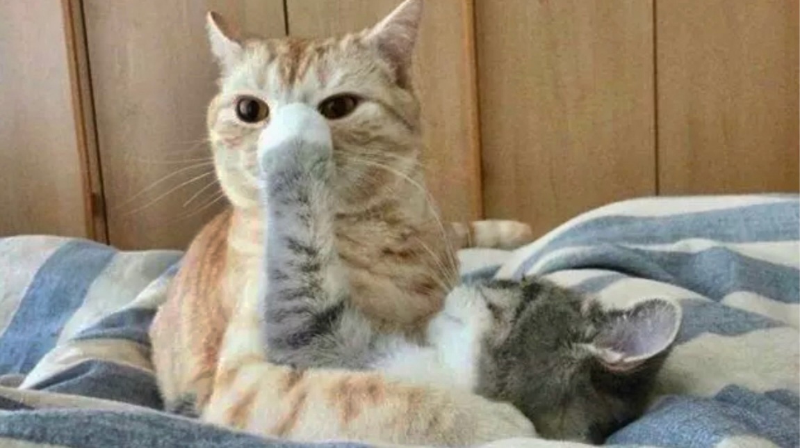 Ваааась, да не говори уж ты всем про то, как я пришла домой из корпоратива