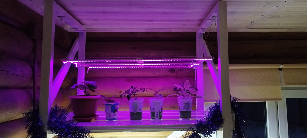 Растения под фило-лампой