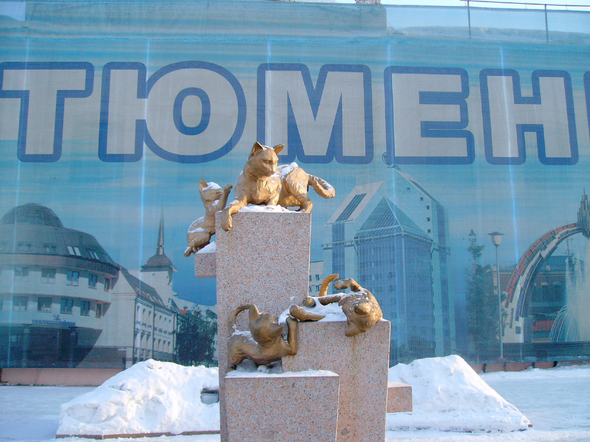 Сквер сибирских кошек, мое фото