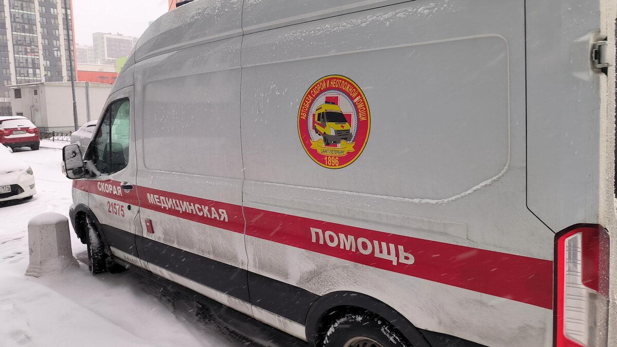 Фото: Maksim Konstantinov/globallookpress.com