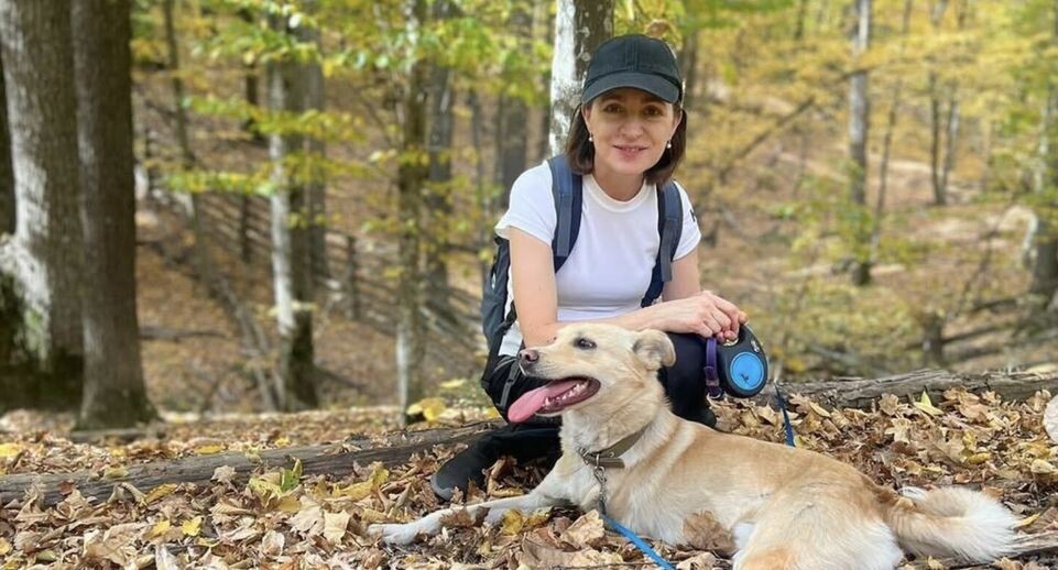    Соцсети Майи Санду