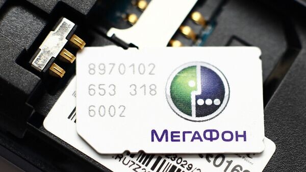    © Sputnik / Виталий Белоусов