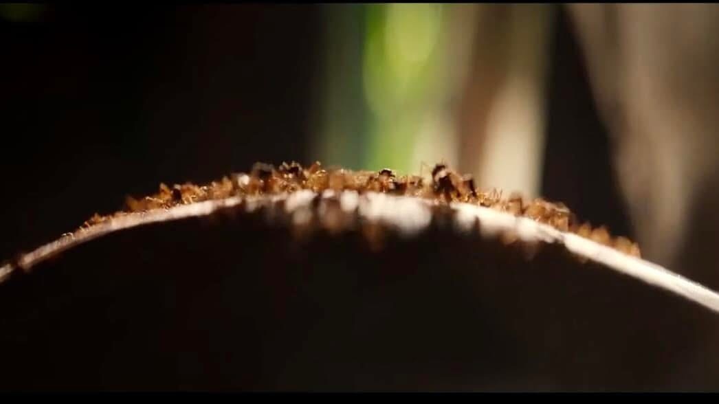 Сто лет одиночества, сериал