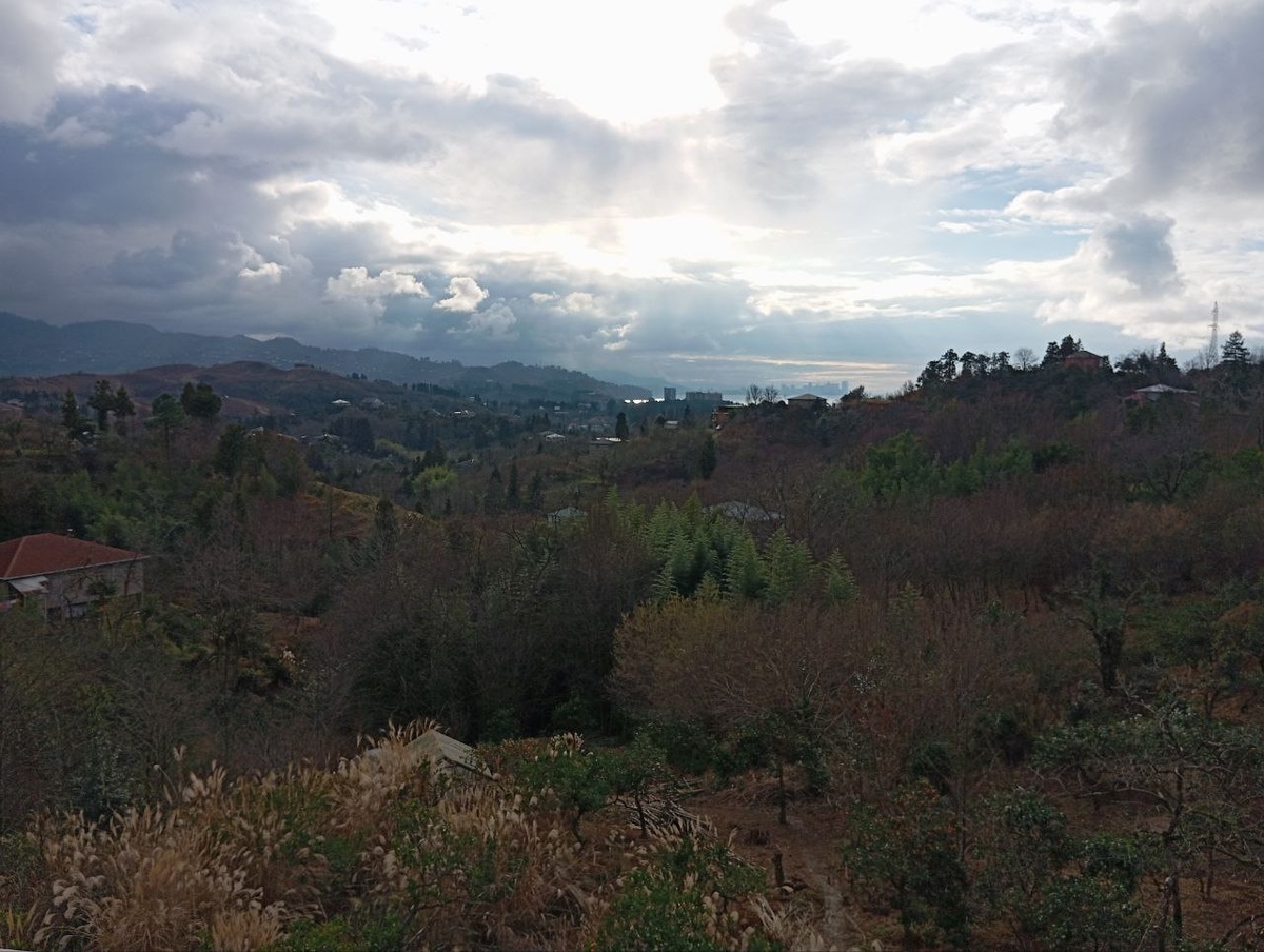 Вид издома на участок, баню (спрятана в кустах), горы, море и Батуми.