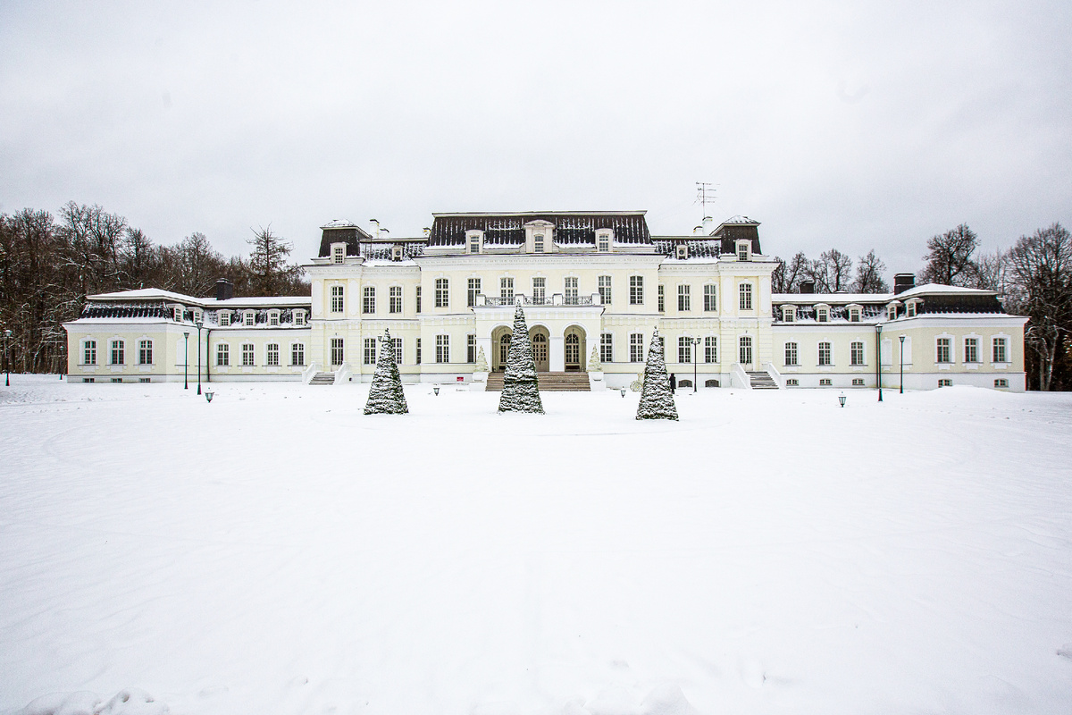 Главный дом усадьбы Вороново. Новая Москва, Троицкий административный округ. Фото автора статьи