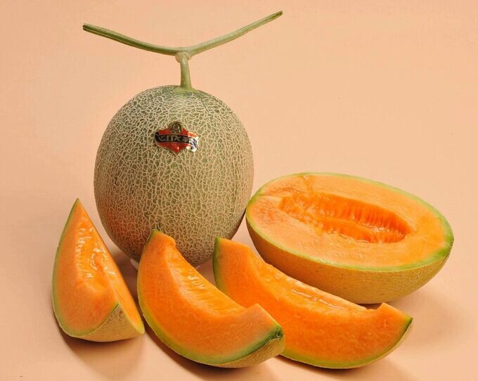 
Самый редкий и дорогой фрукт в мире - это, пожалуй, ягода юбари (Yubari King Melon) из Японии. Эти дыни считаются настоящими деликатесами и символом престижа и роскоши. Давайте углубимся в историю, характеристики и уникальные свойства этого удивительного фрукта.

История и Происхождение
Юбари - это маленький город на острове Хоккайдо в Японии, известный своими высококачественными дынями. История этих дынь начинается в середине 20 века, когда местные фермеры начали скрещивать два сорта дынь - Earl's Favourite и Burpee's Spicy Cantaloupe. Этот гибридный сорт оказался особенно сладким и ароматным, что сделало его крайне популярным в Японии.

Культивация и Уход
Одной из причин, по которой юбари такие дорогие, является тщательный и трудоемкий процесс их выращивания. Каждому плоду уделяют особое внимание с момента посадки до сбора урожая. Саженцы выращивают в теплицах, где тщательно контролируют температуру, влажность и освещение. В процессе роста каждый плод подвешивается на специальную сетку, чтобы избежать контакт с землей и предотвратить образование пятен.

Фермеры регулярно осматривают каждый плод, удаляя лишние листья, чтобы обеспечить равномерное поступление питательных веществ к дыне. Также плоды вручную протирают, чтобы улучшить внешний вид кожицы и обеспечить ее гладкость.

Внешний Вид и Вкус
Юбари имеют идеальную круглую форму и ровную сетчатую поверхность. Кожица светло-зеленая, а мякоть - оранжевая, сочная и сладкая. Вкус юбари описывают как невероятно насыщенный, с оттенками меда и тропических фруктов. Этот уникальный вкус и текстура делают их особенно ценными среди гурманов.

Рынок и Цены
Юбари King Melon считаются символом статуса и часто покупаются в качестве подарков на важные мероприятия. Их стоимость варьируется в зависимости от качества и времени года, но самые дорогие экземпляры могут достигать нескольких тысяч долларов за одну дыню. Например, на ежегодном аукционе в Японии пара дынь юбари бы