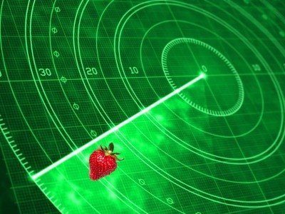    В Карелии разработали «ИИ-радар» для сборщиков ягод и грибов