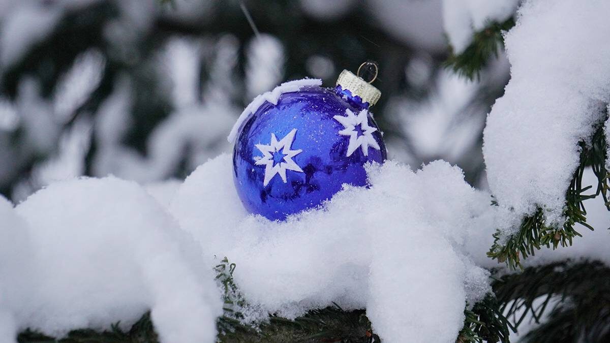    Фото: Анатолий Цымбалюк / Вечерняя Москва