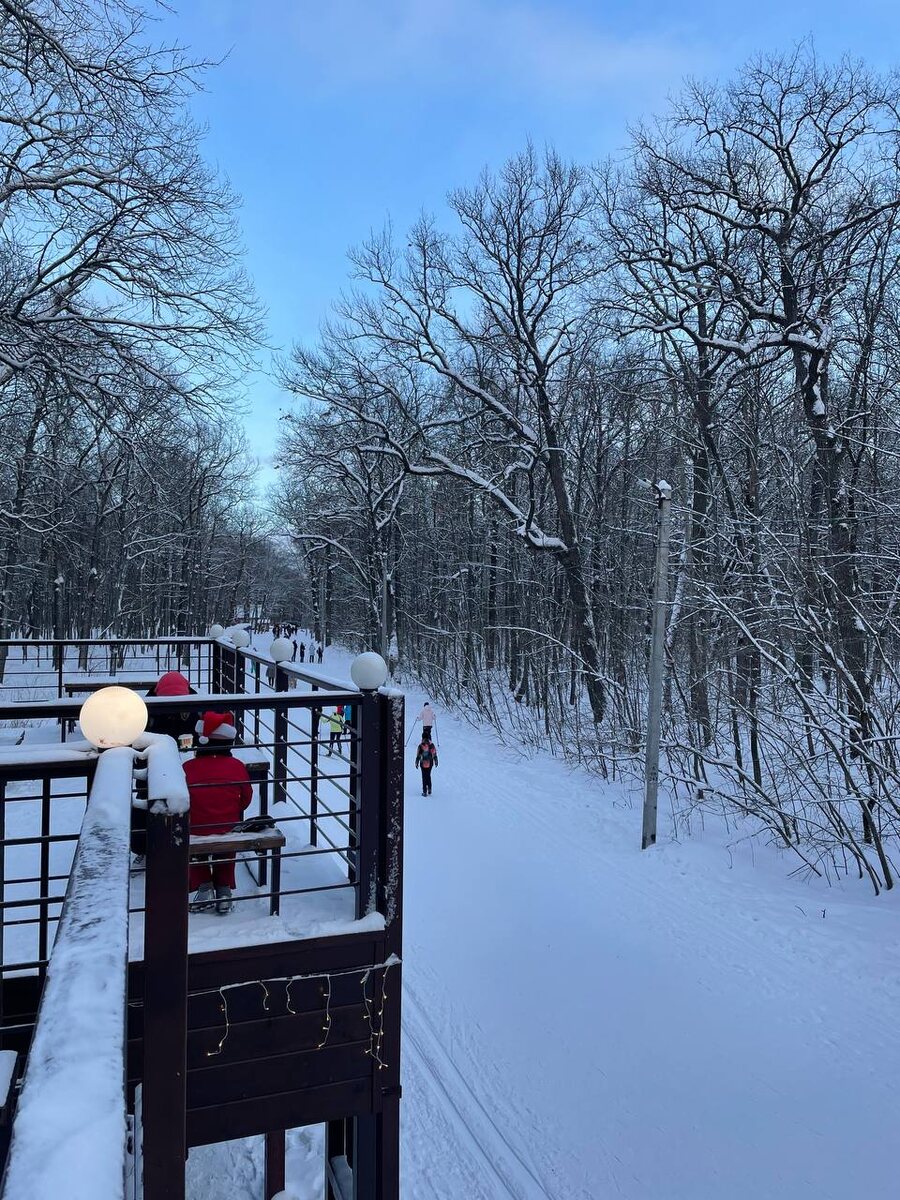 Фото прислал сын, они гуляли возле дома в парке. Я же просидела весь день дома. Погода была неплохая, но выходить никуда не хотелось. 