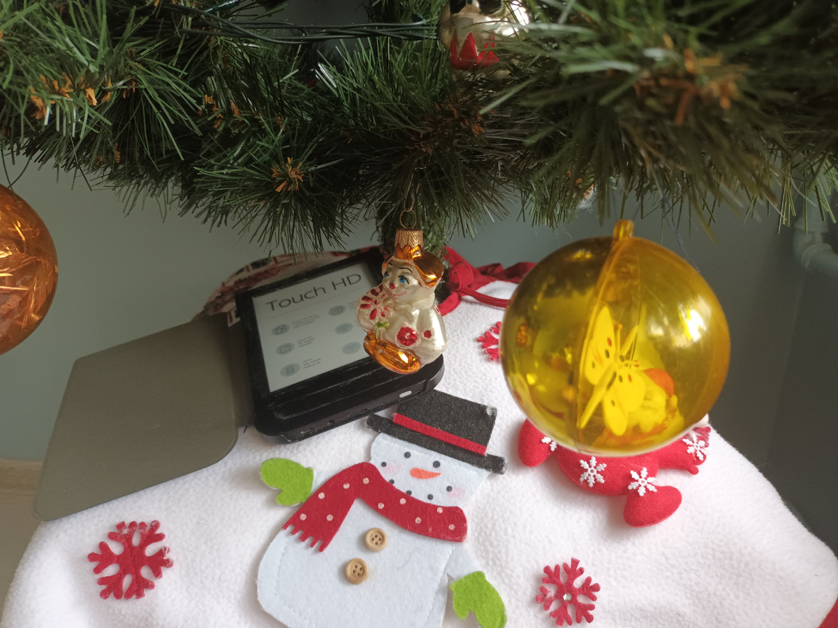 В читалке под елкой книг на целый год, и не один)