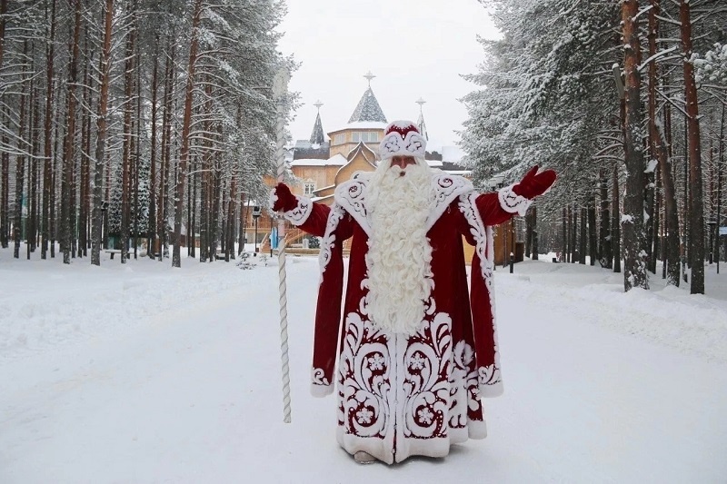 Дед Мороз. Фото: https://www.bibliongo.ru/