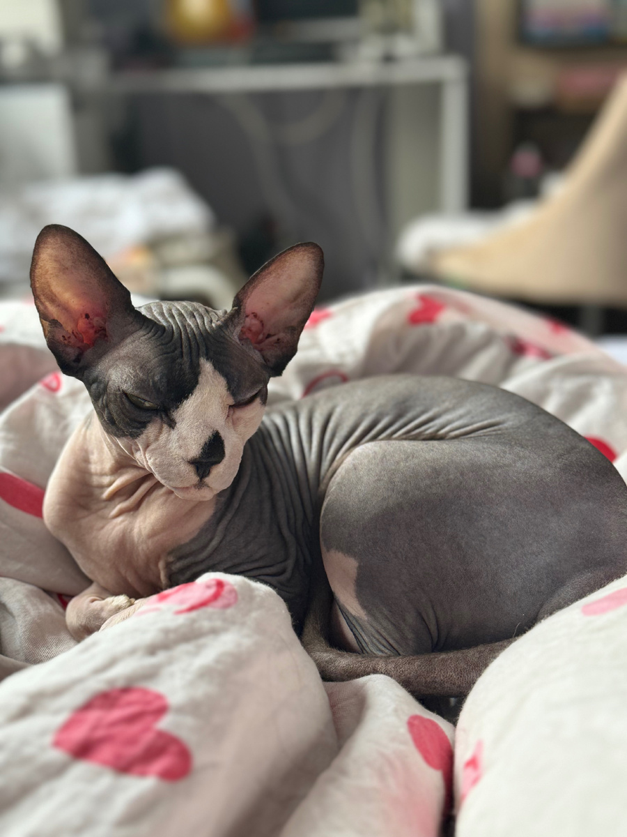 На фото Гуру Мася