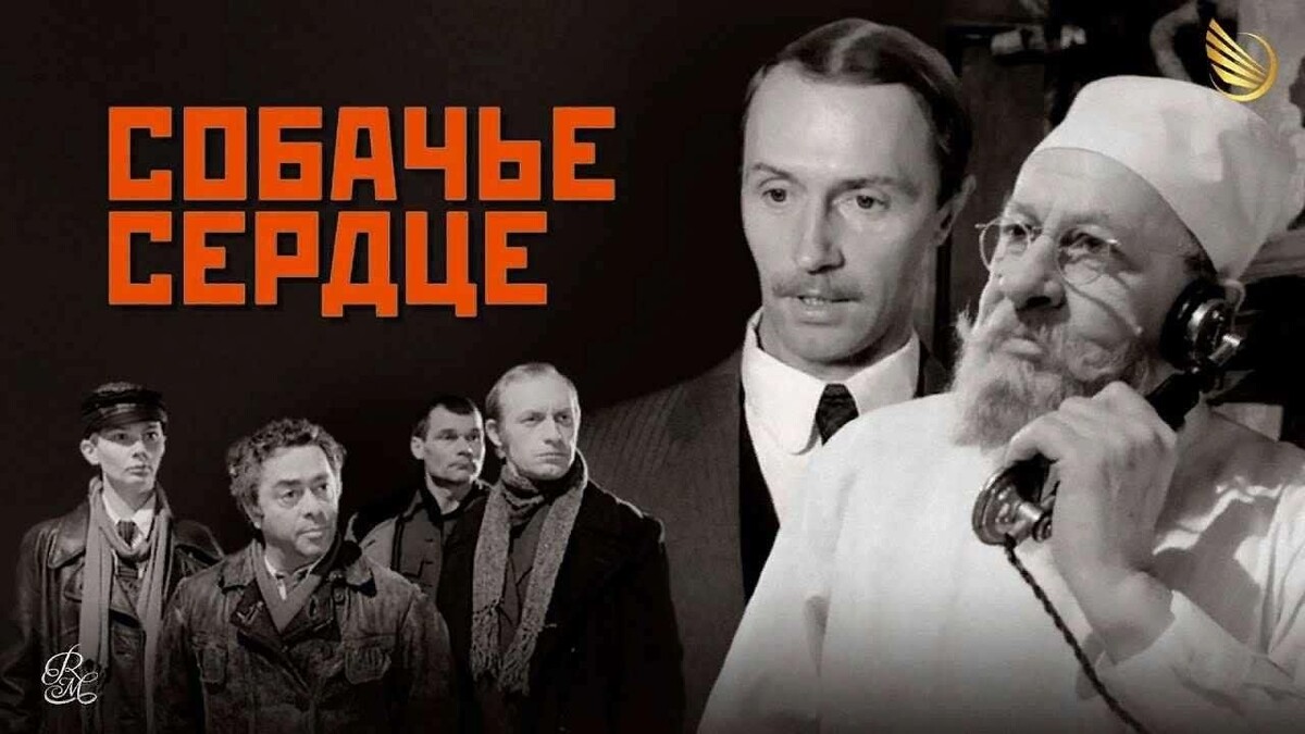 Найдено в сети Интернет