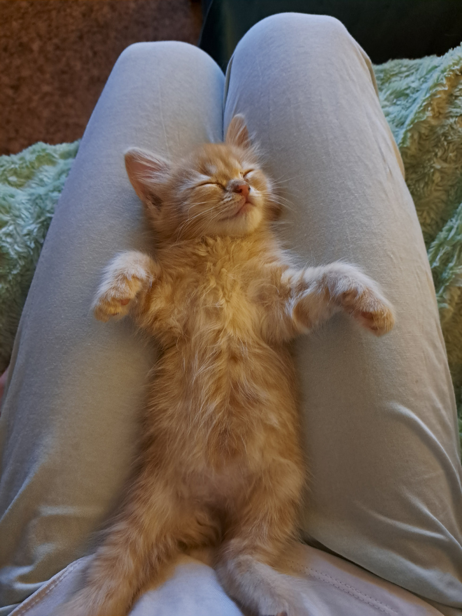 Потом так, на наших ногах