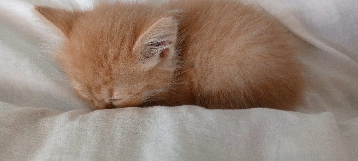 Сначало  было так