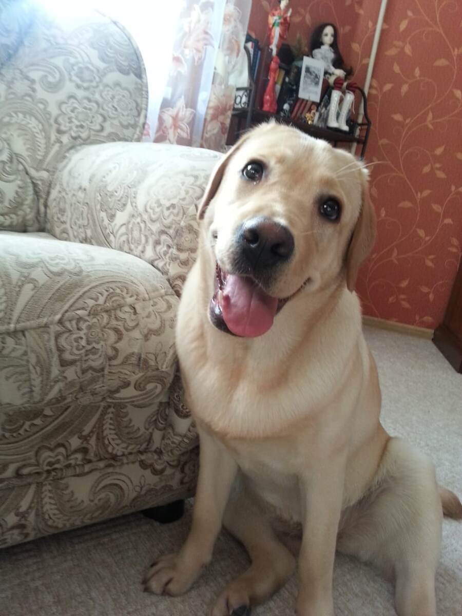 Фото из личного архива