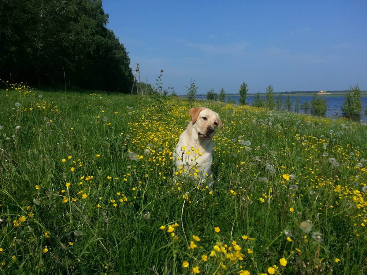 Фото из личного архива.