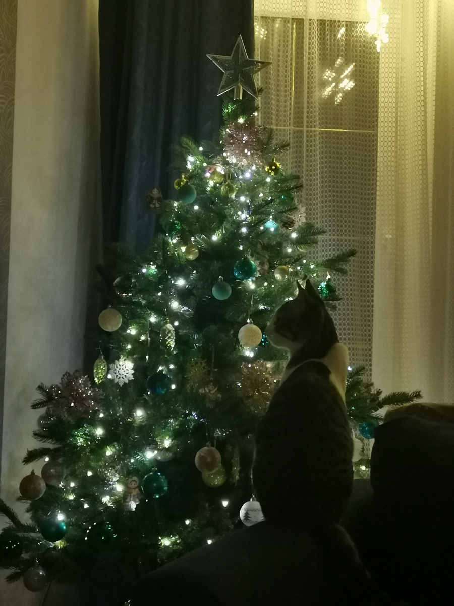 Моя елка 2025