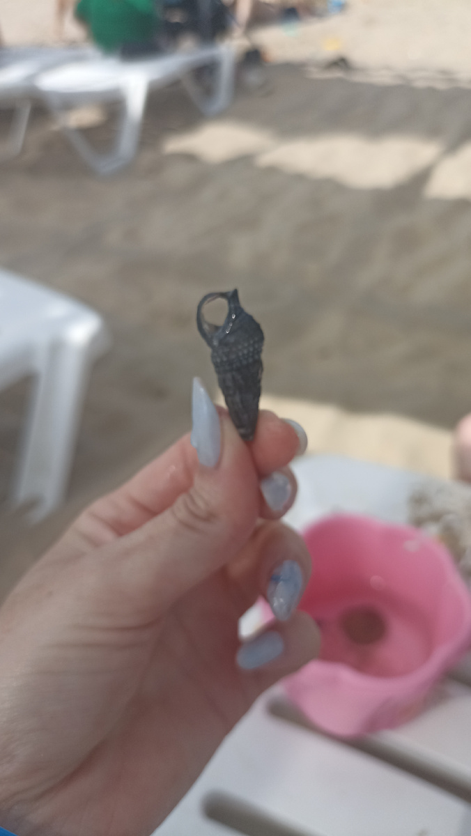 Находки с Чёрного моря