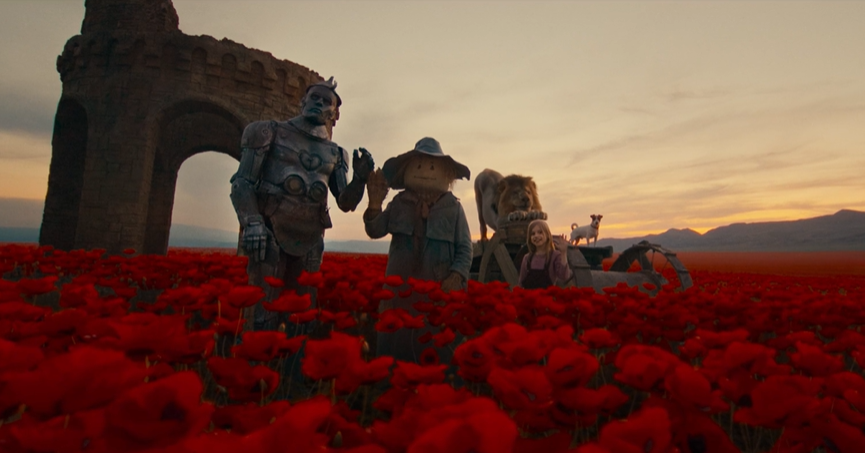 "Команда мечты" делает фото на память на маковом поле