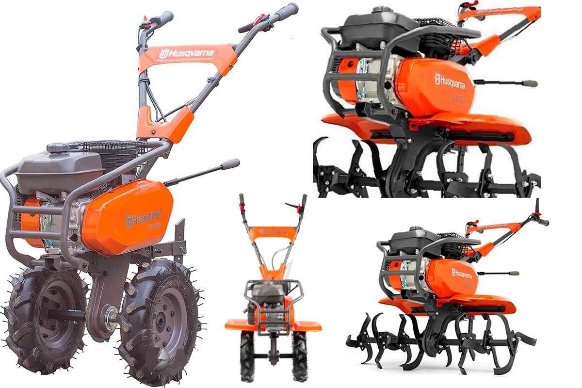 фото источник интернет