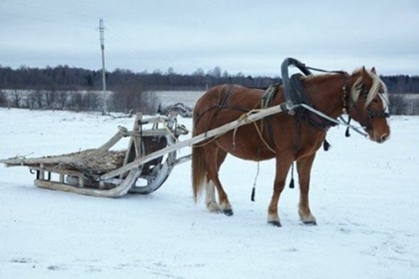 фото из интеренета