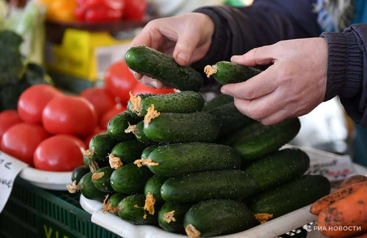 Фото: РИА Новости / Константин Михальчевский