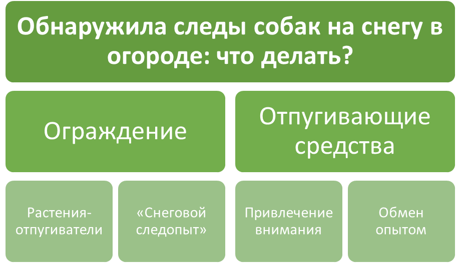 Способы отпугивания собак