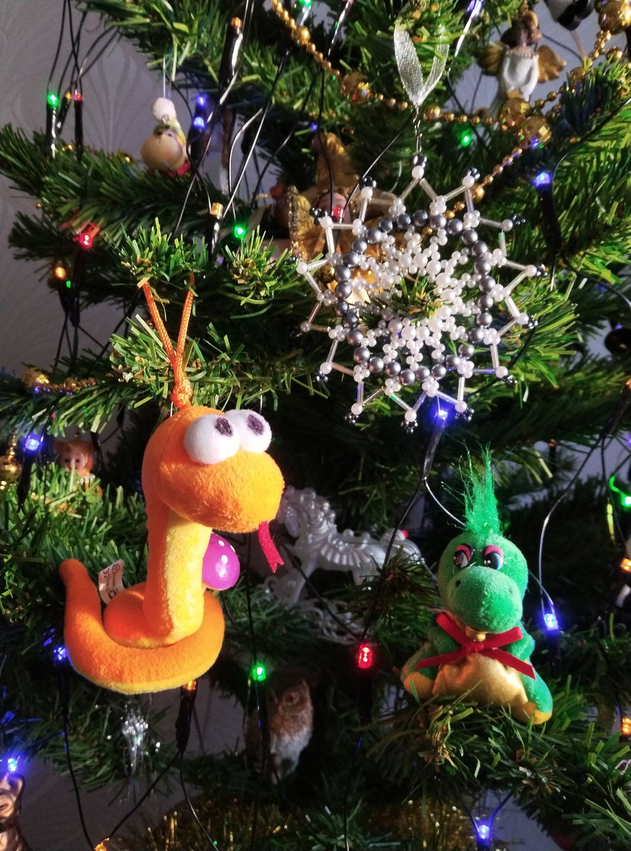 Фото автора