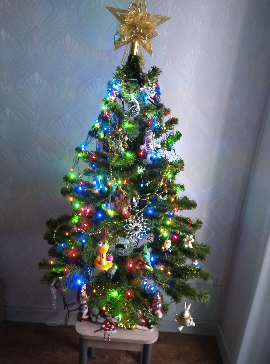 Фото автора