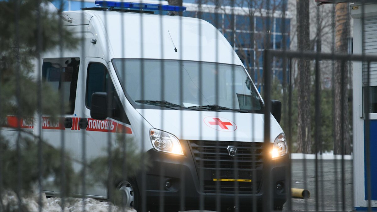    Фото: Ilya Moskovets/globallookpress.com