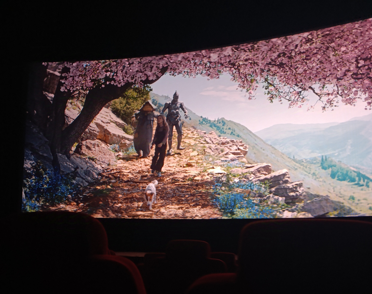 Фото автора. 