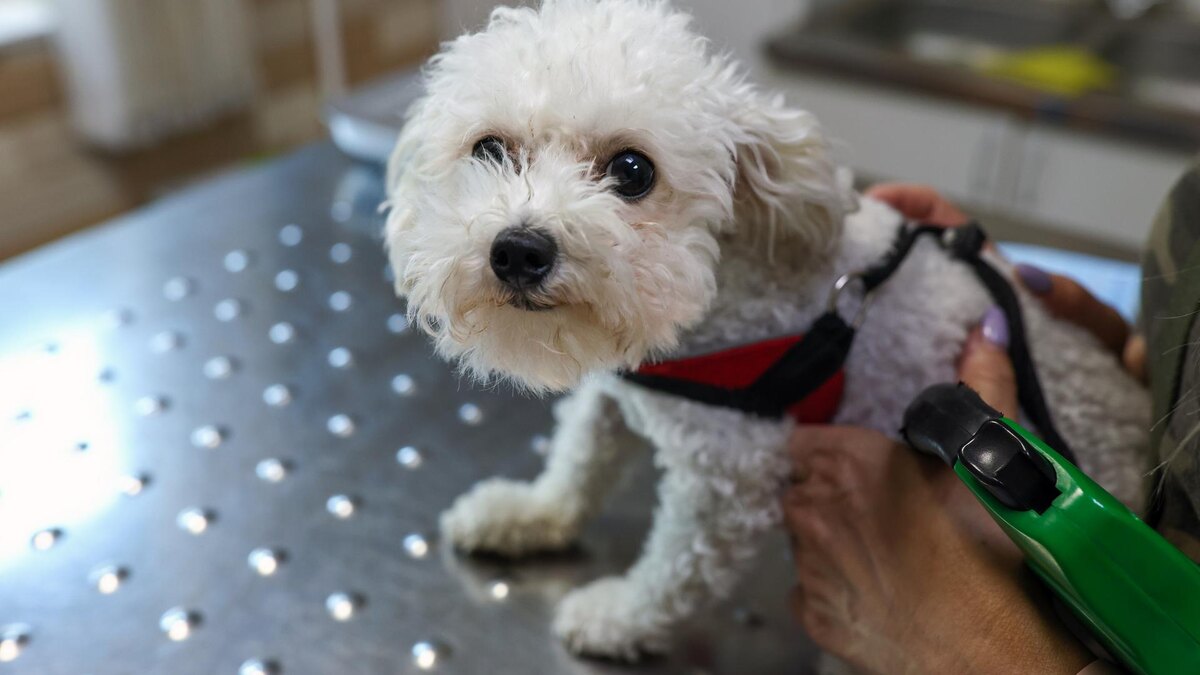    Фото: globallookpress.com/Petrov Sergey