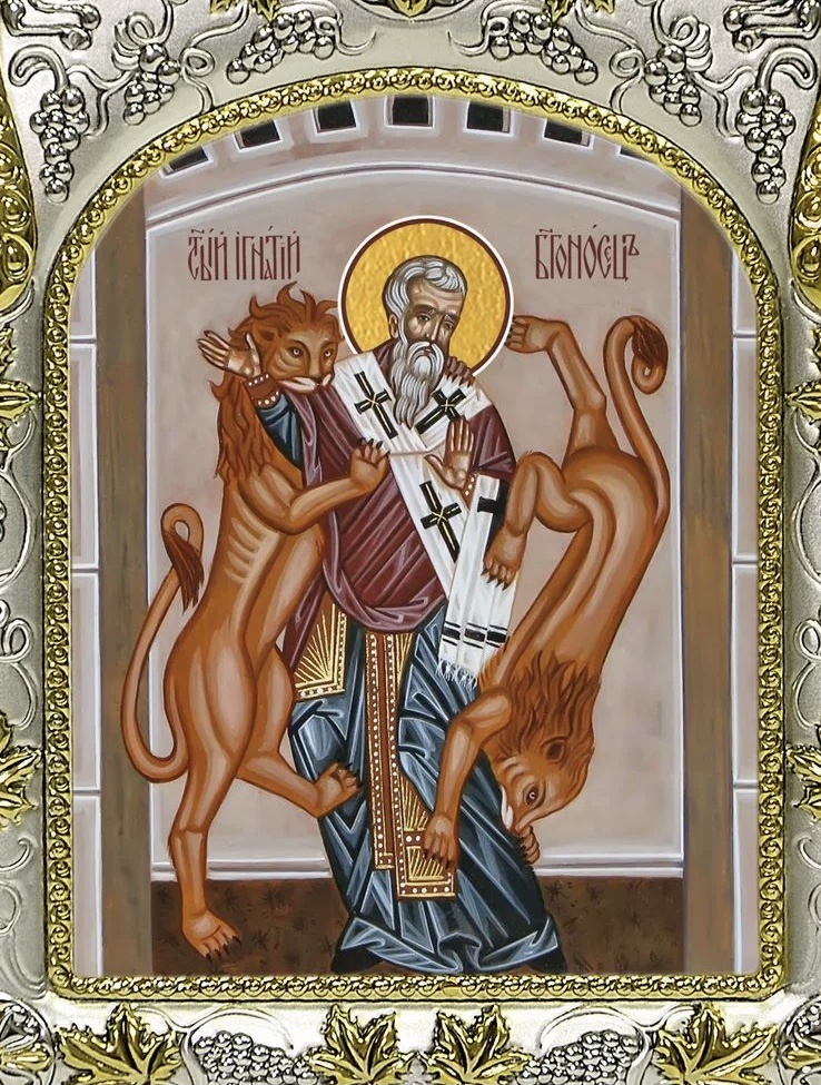 Источник фото Яндекс картинки 