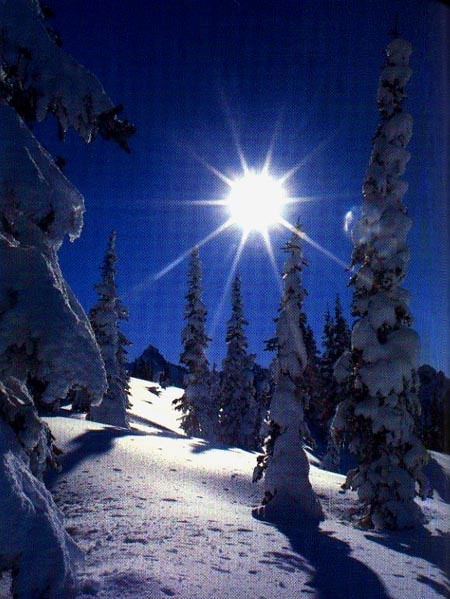 Правообладатель: Яндекс Картинки