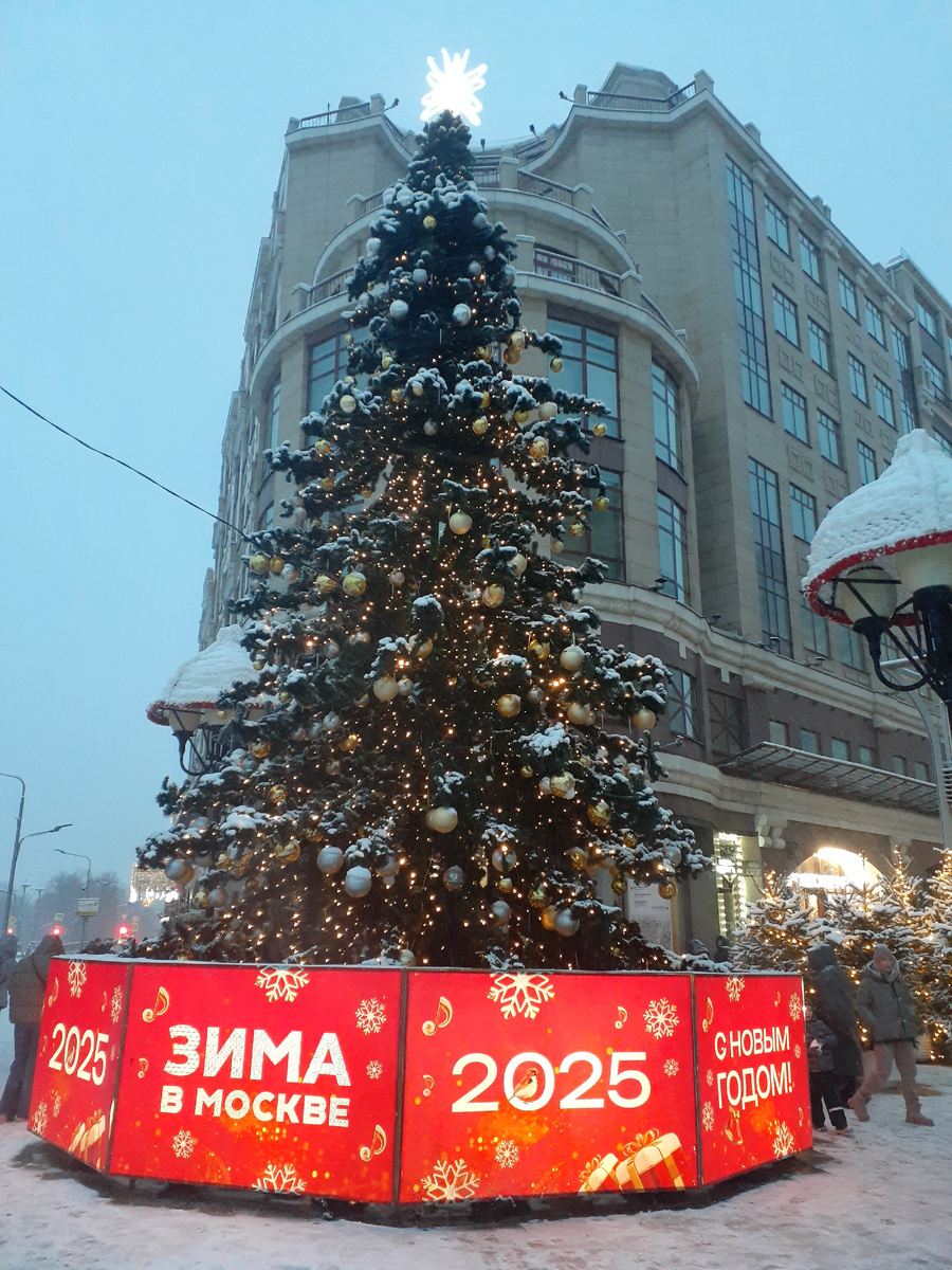 елка на Арбате (Зима в Москве 2025)