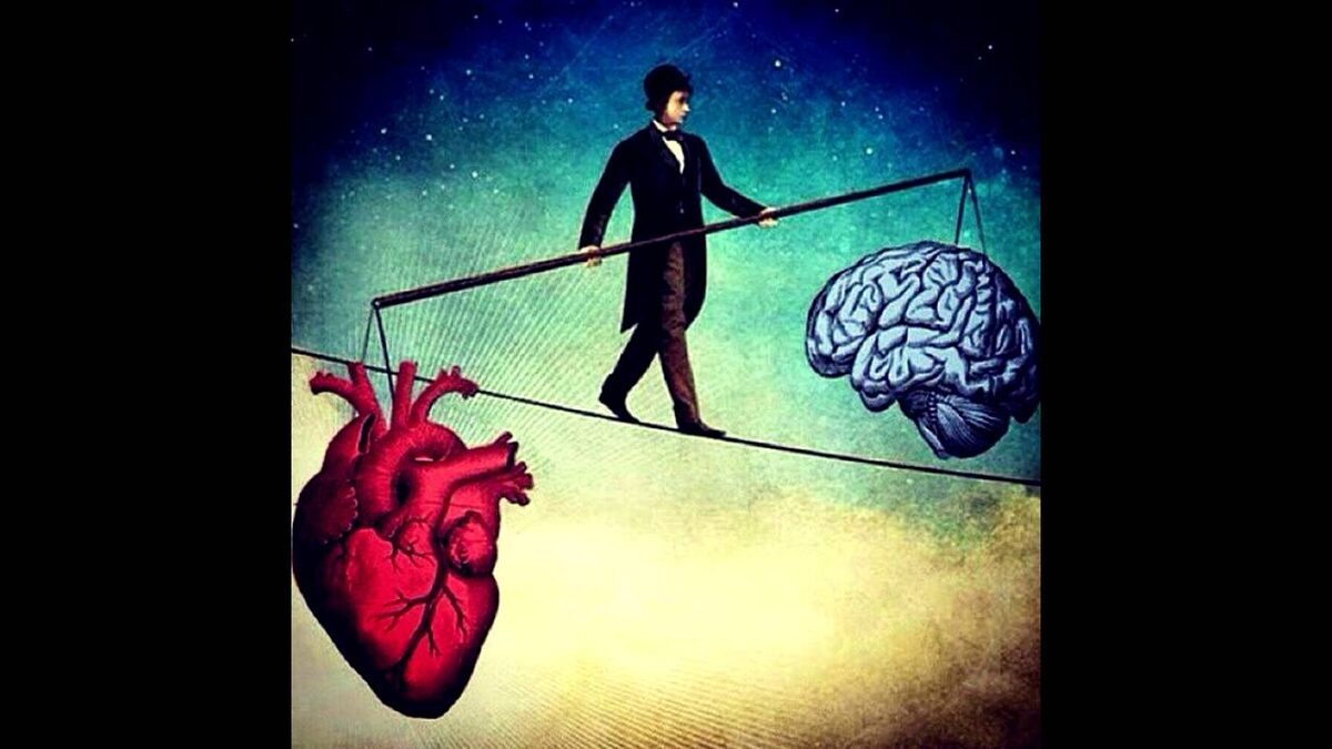 Так разум или чувства?