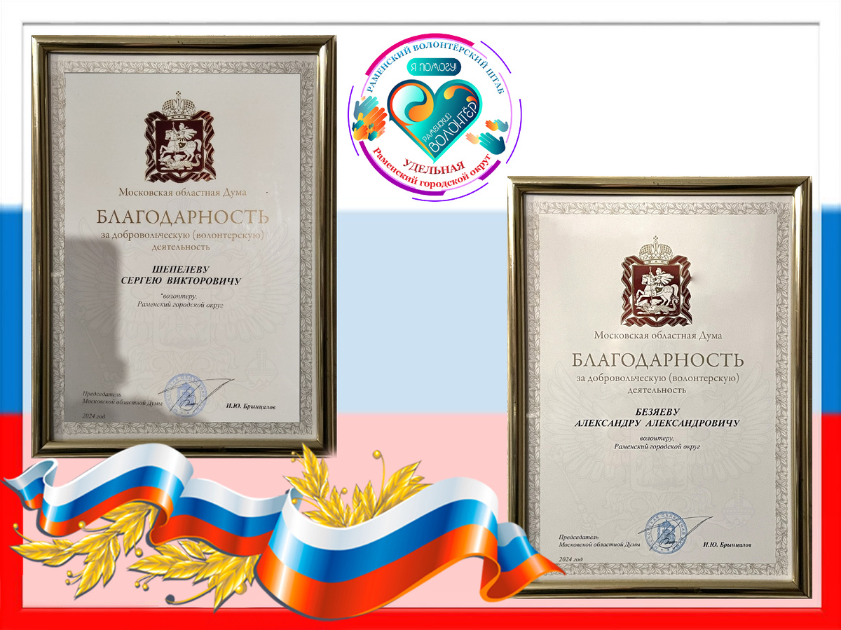 Итоги волонтёрской деятельности за 2024 год