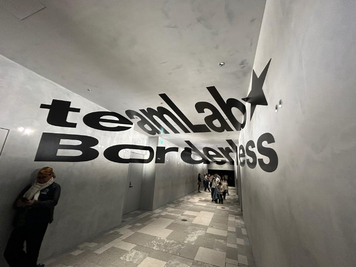 Мы были в Teamlab Borderless.