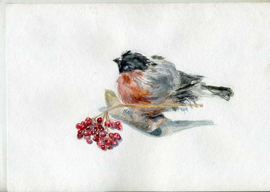 Источник:  https://vk.com/album3313218_223484445?z=photo3313218_395047516%2Falbum3313218_223484445%2Frev