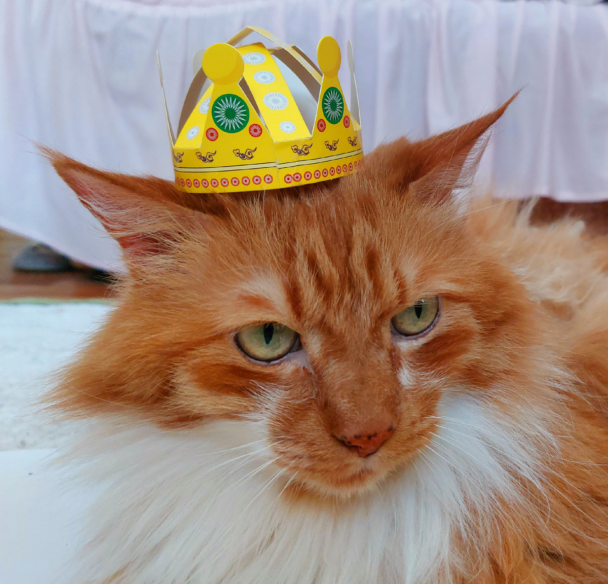 Фото автора, Лева