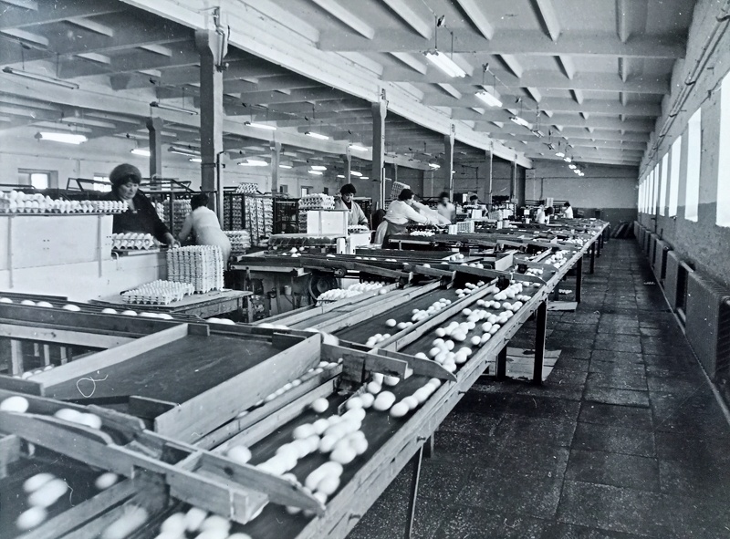 Фото из открытых источников