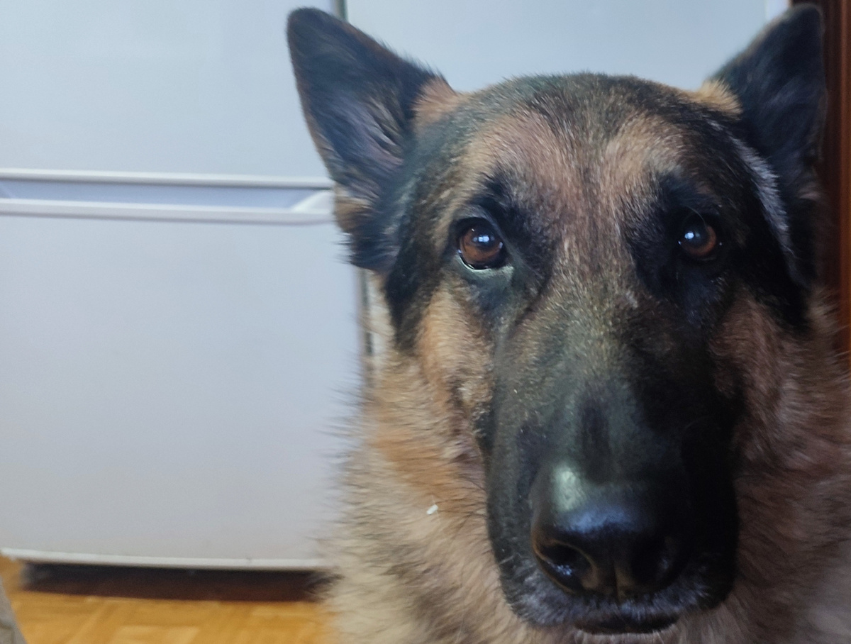 Вот... вот... вам традиции, а мне есть пришлось. 