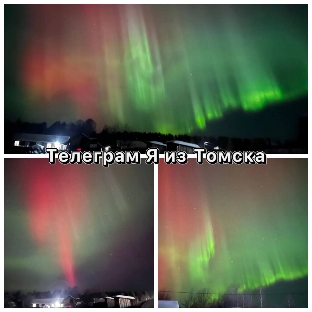    Фото: Я из Томска